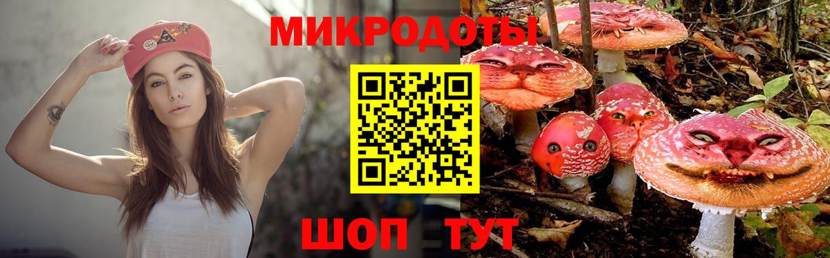 Галлюциногенные грибы Psilocybe  Псилоцибиновые грибы мухоморы  Вход с VPN  Москва 